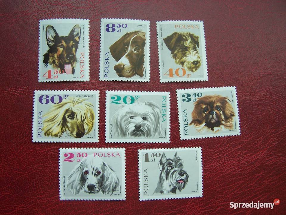 Polska 1968 MNH Mi 189805 Fauna Psy Tychy