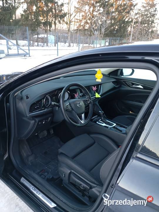 Opel Insignia 2019 klimatyzacja Ciecierzyn