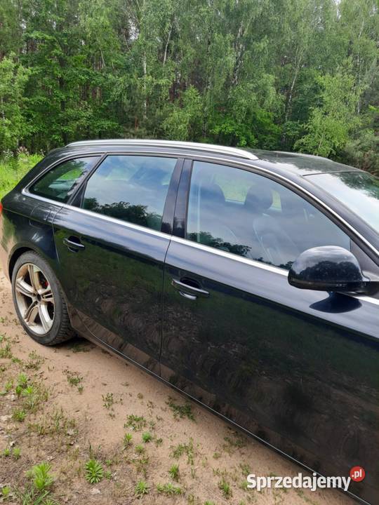 Audia4b8 380000km Bodzanów
