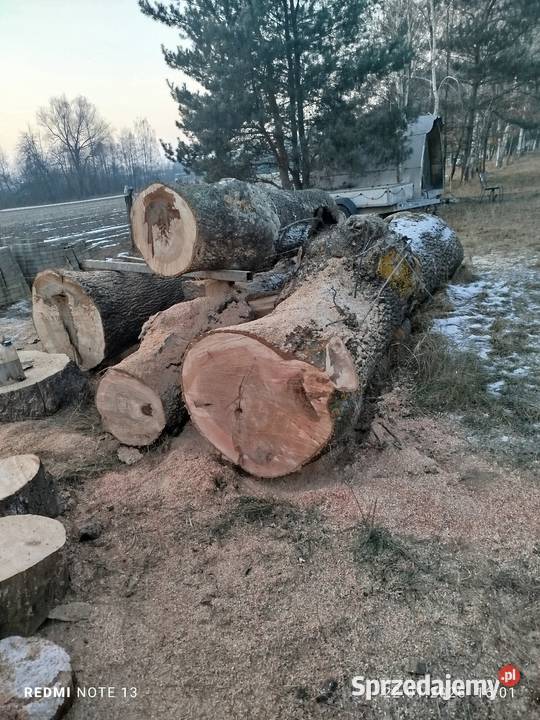 Deski jesion kłody Dąbie sprzedam