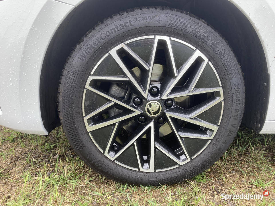 Skoda Octavia Octavia Selection 15 TSI mHEV DSG 4/5 Dąbrowa Górnicza