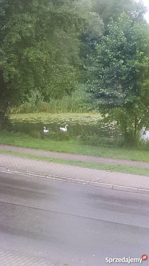 Sprzedam mieszkania Gartz Niemcy 2 piętra Gryfino