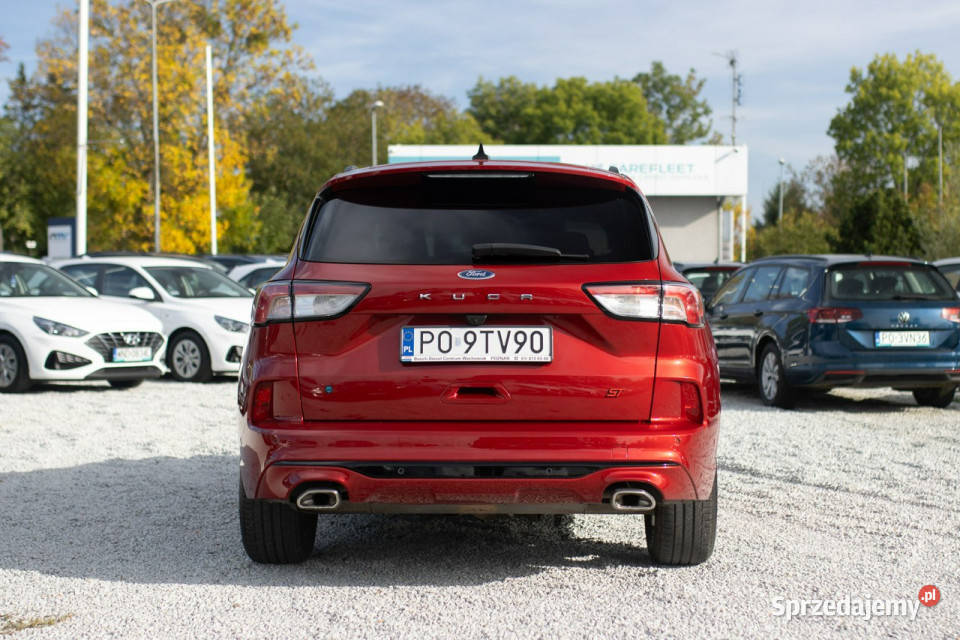 Ford Kuga 15 Ecoboost 150 ST Line X Salon 9TV90 lakier metallic sprzedam