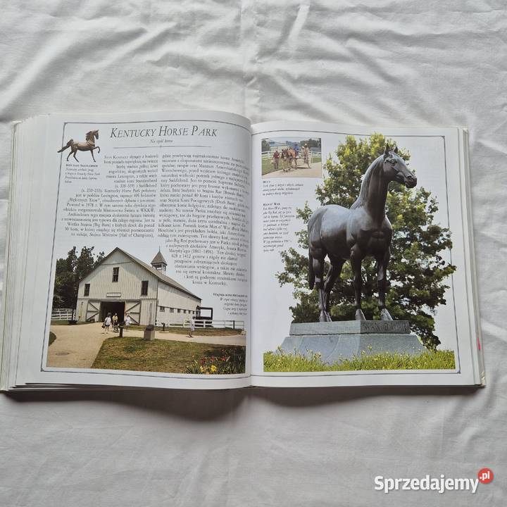 Wielka encyklopedia Konie Brzesko