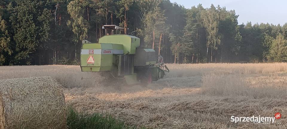 Class Corsar Grabów nad Prosną