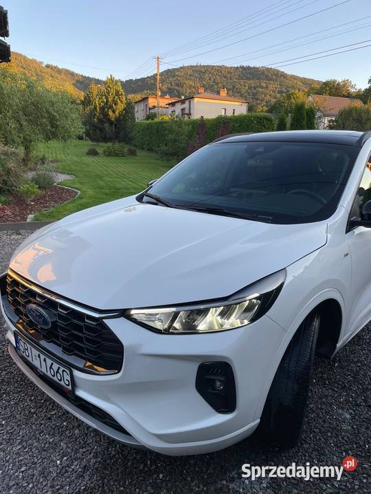 Ford Escape Kuga STLine Select AWD 20 2023 nieuszkodzony Kozy