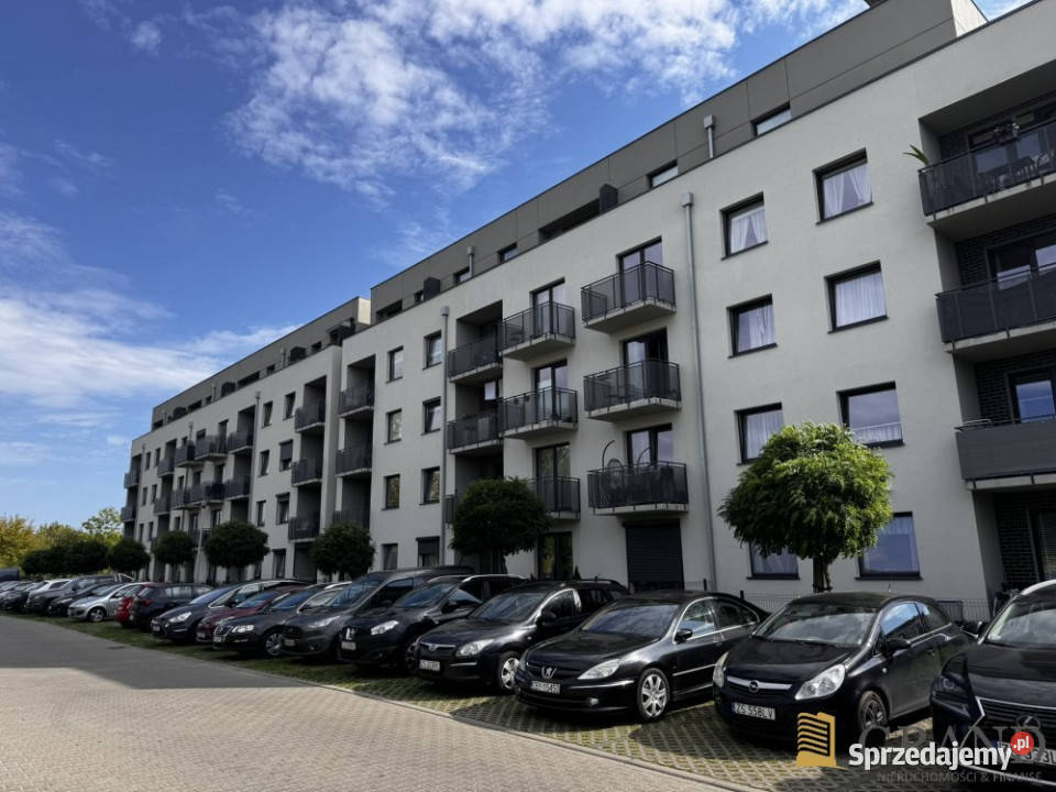 Mieszkanie 4347m2 2pok Szczecin Ignacego Sprzedaż