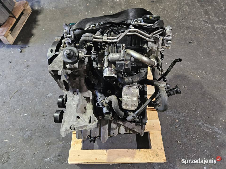 Uszkodzony Silnik Audi 20 TDI CGL osobowe dolnośląskie Zgorzelec sprzedam