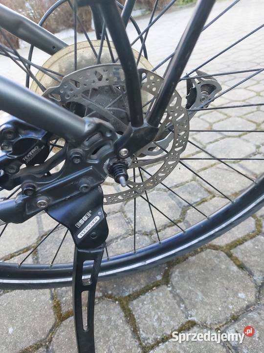 Pegasus Solero E9 rama M