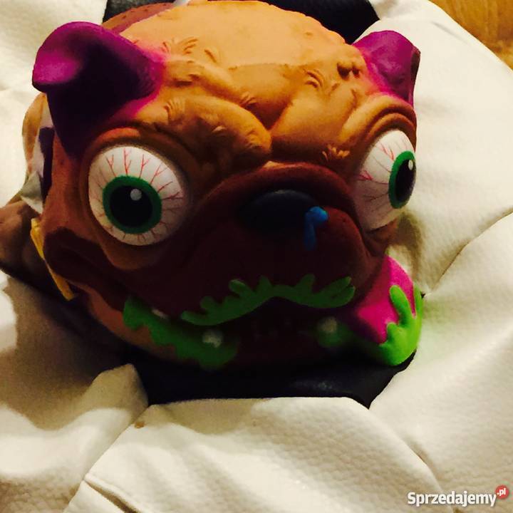 Pies paskudniak nowy Włocławek