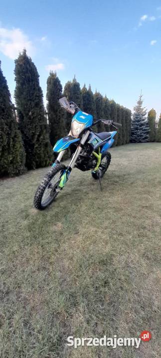 Asix lizzard 125 Pozostałe Sobolew