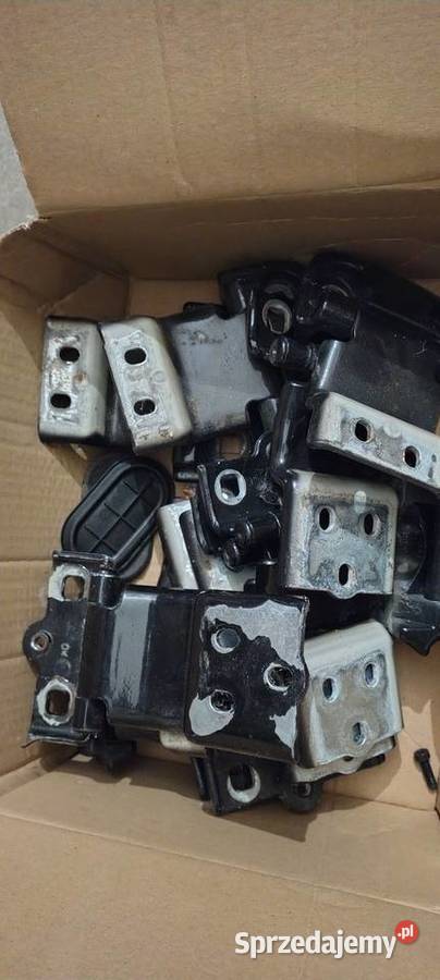 Zawiasy drzwi tylnych Jumper boxer Ducato Toruń