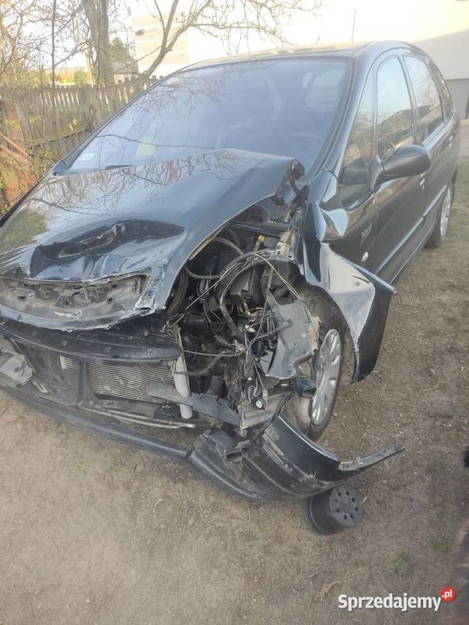 Citrone Xara picasso Rudlice