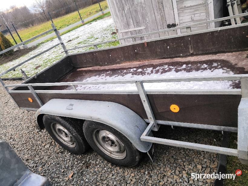 Przyczepka Holenderska DMC 2000 130x300 burtowe Brzostek