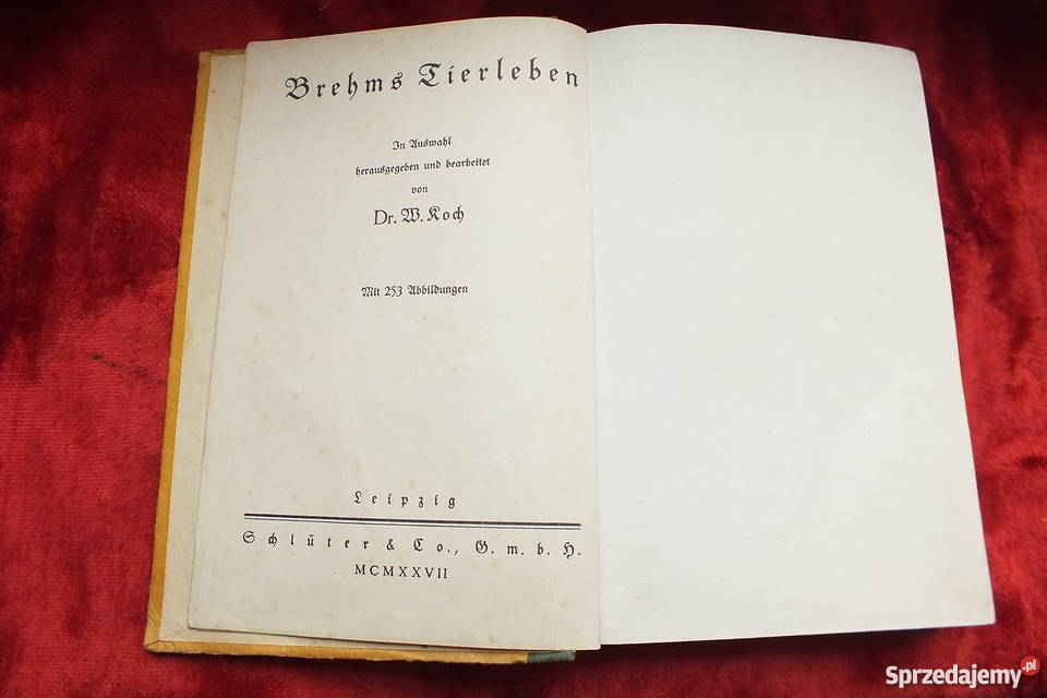 Stara niemiecka książka powieść z 1926 roku Żary