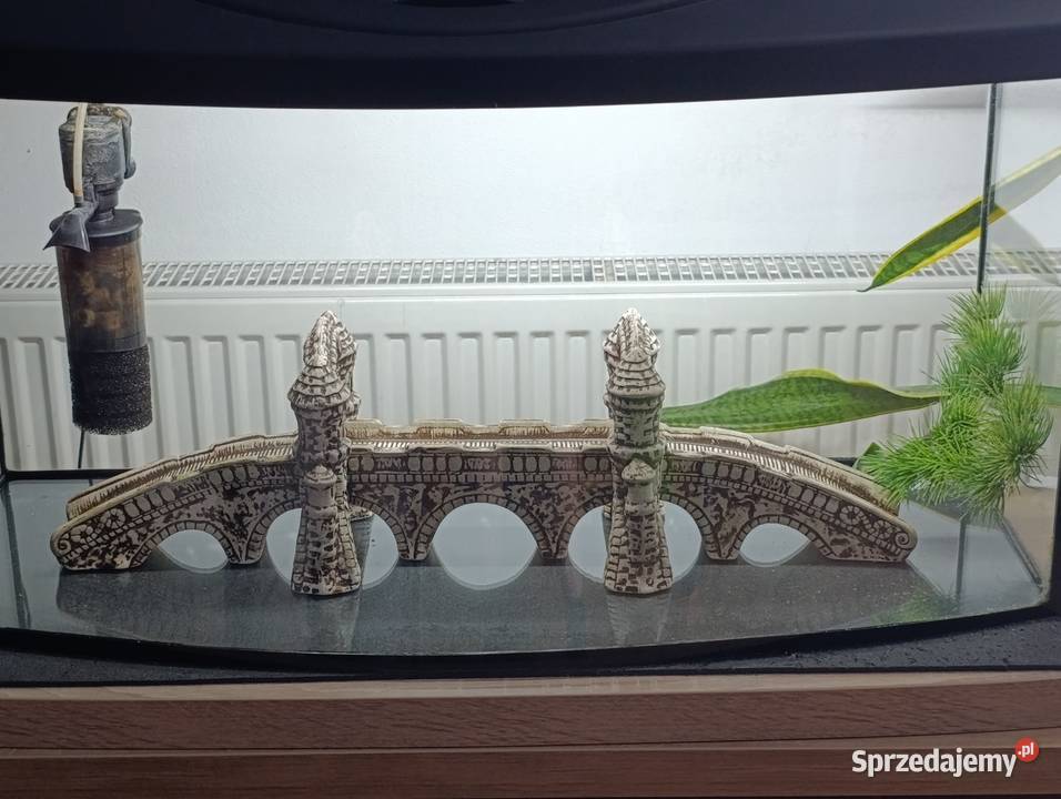 Akwarium 110 litrów Jodłówka-Wałki