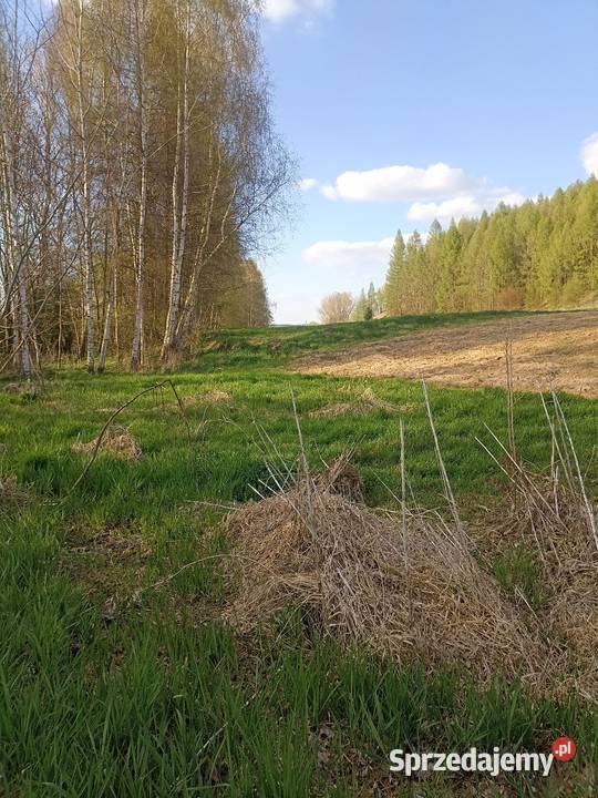 30ar Kościejów gm Racławice