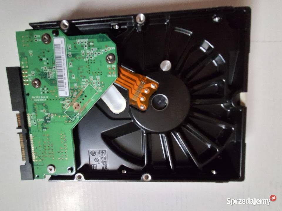 Dysk Western Digital 160 GB Ruda Śląska sprzedam