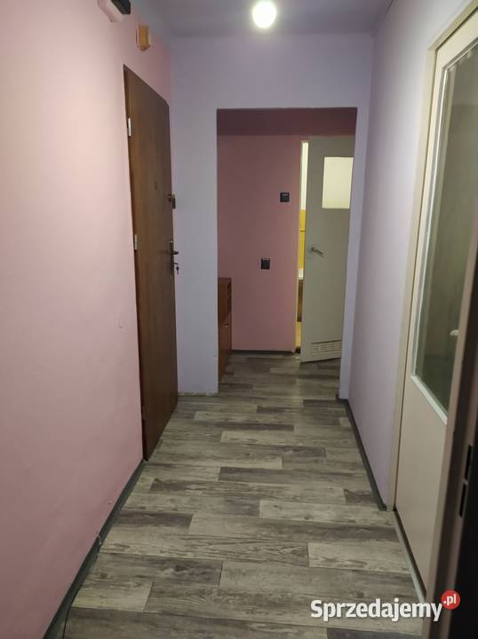 Mieszkanie dwupokojowe do wynajęcia