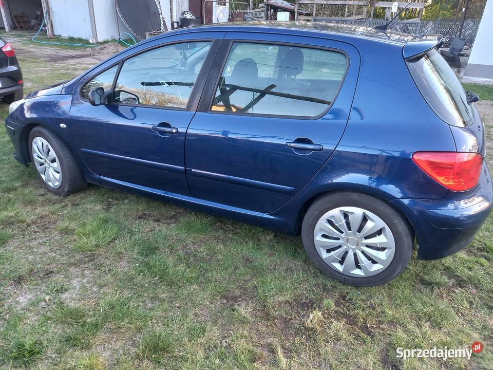 Peugeot 307 136KM Sieradz