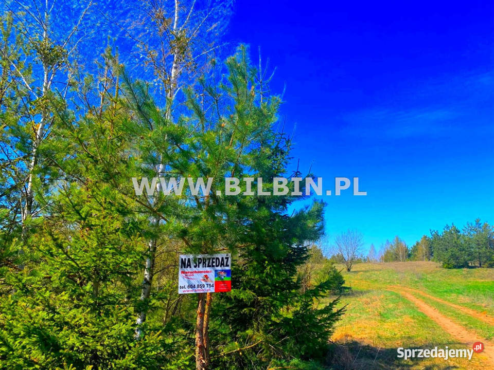 Grunt 13401m2 Białogóry