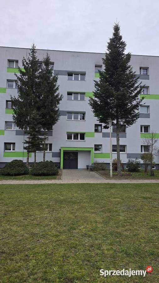 4 pokoje Łódź Olechów