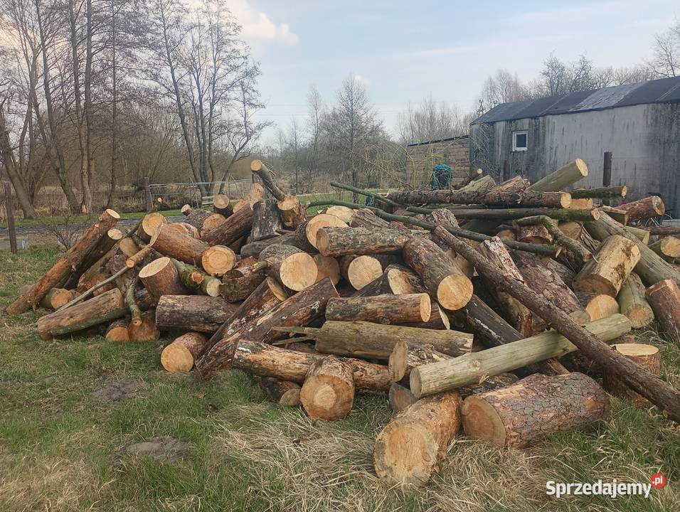 Drewno opałowe kominkowe SUCHE zachodniopomorskie sprzedam