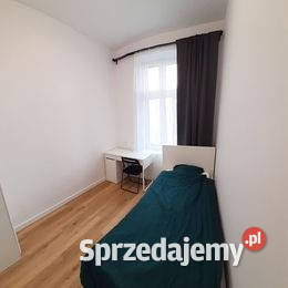 CENTRUMSTARY BROWAR cichy 1 osobowy POKÓJ 12m2 Wynajem Poznań