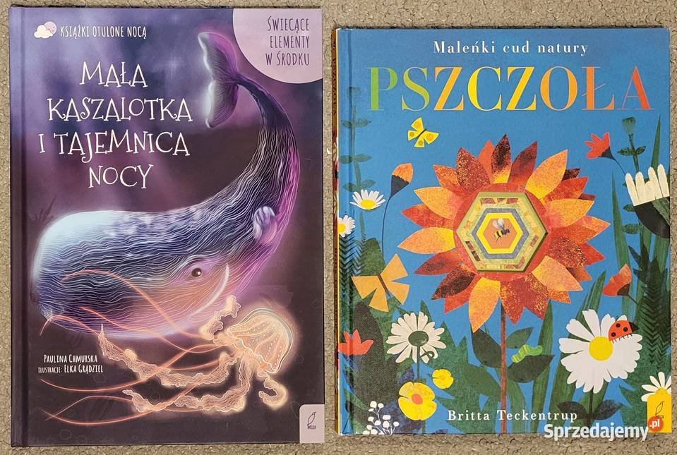 Pszczoła Maleńki cud natury Mała kaszalotka i Ząbki