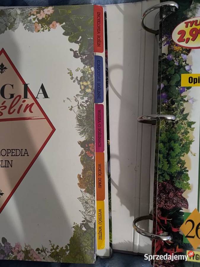 Magia Ogrodów Magia Roślin mazowieckie