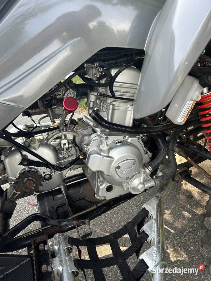 Quad dinli 300 2014 quad - ATV Chełm