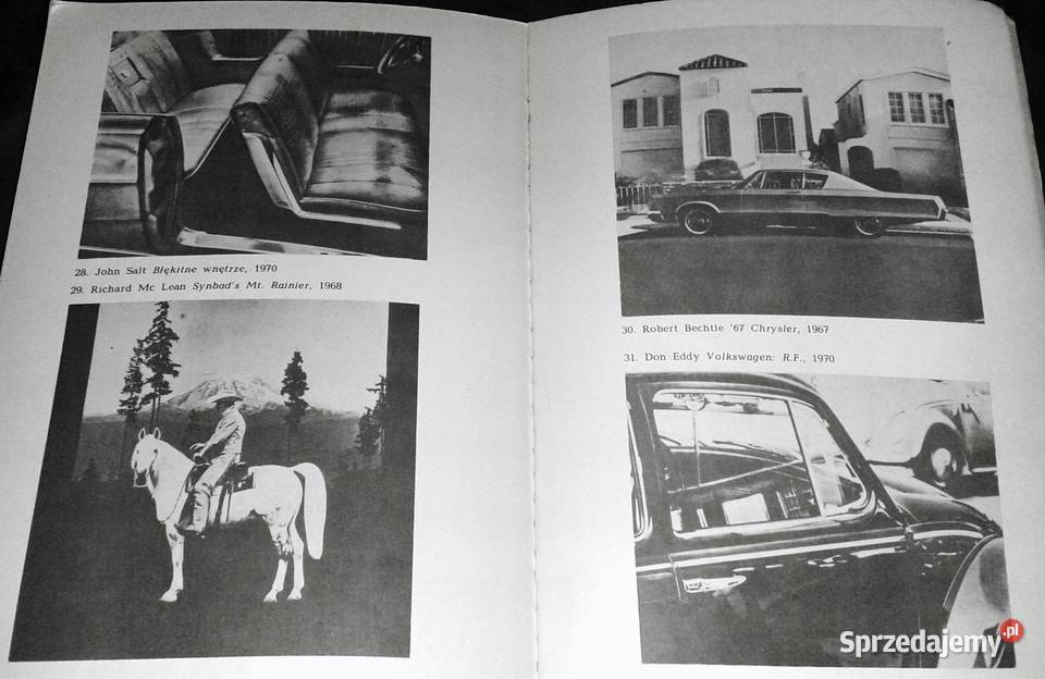 O sztuce nowej i najnowszej Piotr Krakowski Chełm sprzedam