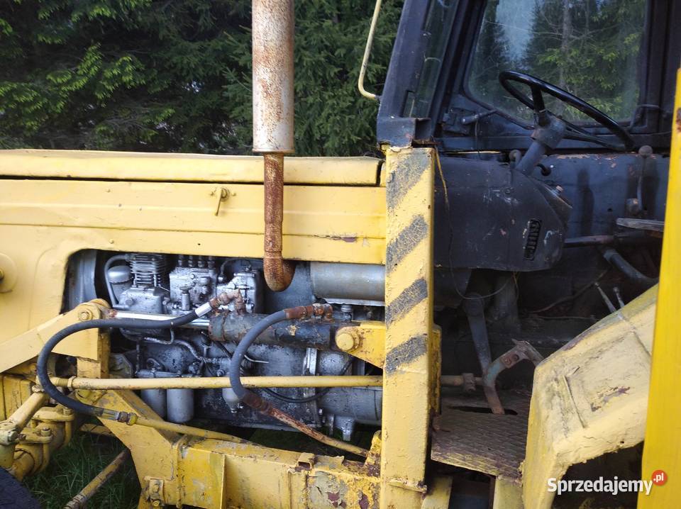 Ostrówek w zlomu Mirsk