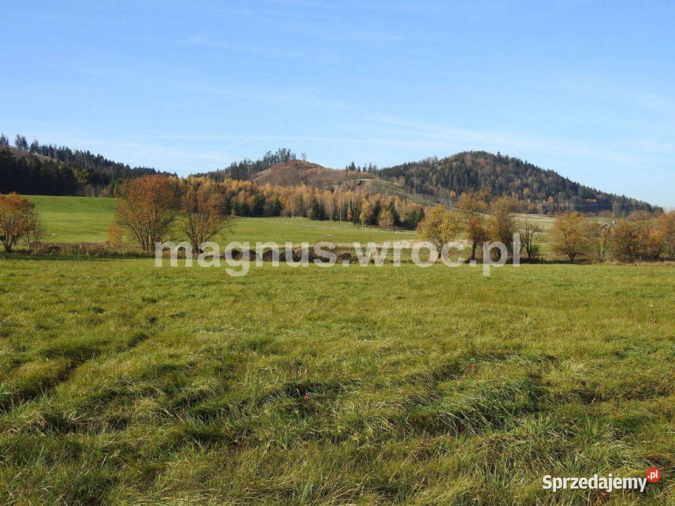 Działki pod agroturystykę pod lasem w rekreacyjna