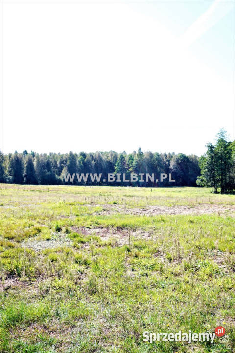 Sprzedam grunt Buda Ruska 8000m2 Sprzedaż