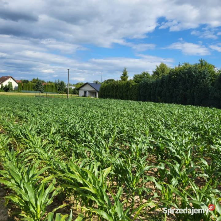 działka budowlana Płouszowice Kolonia Płouszowice-Kolonia sprzedam