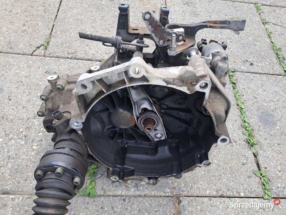 Audi Seat Skoda Volkswagen 14 16V skrzynia Jastrzębie-Zdrój