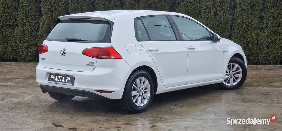 Golf VII 16 Diesel 110 192000km