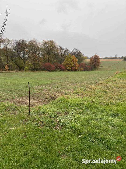 Działka 35 arów Krasieniec Stary prąd i woda Nieruchomości