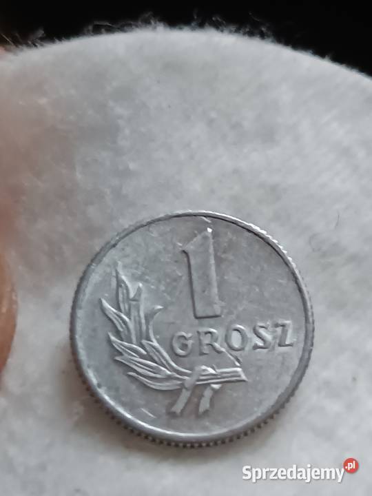 Sprzedam monete 1 grosz 1949 Chełm sprzedam