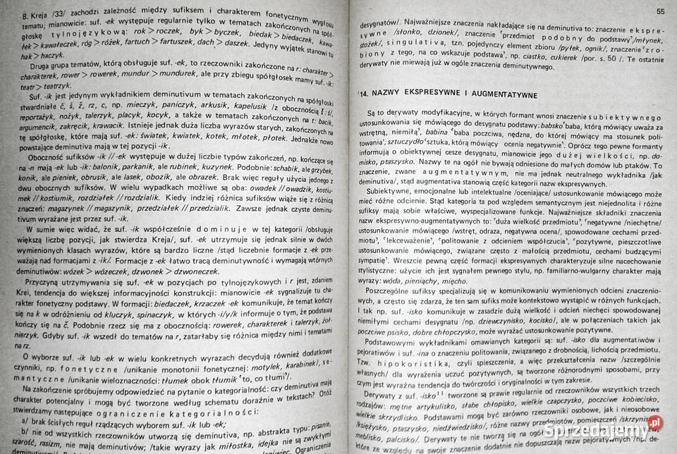 Zarys słowotwórstwa polskiego Renata Chełm sprzedam