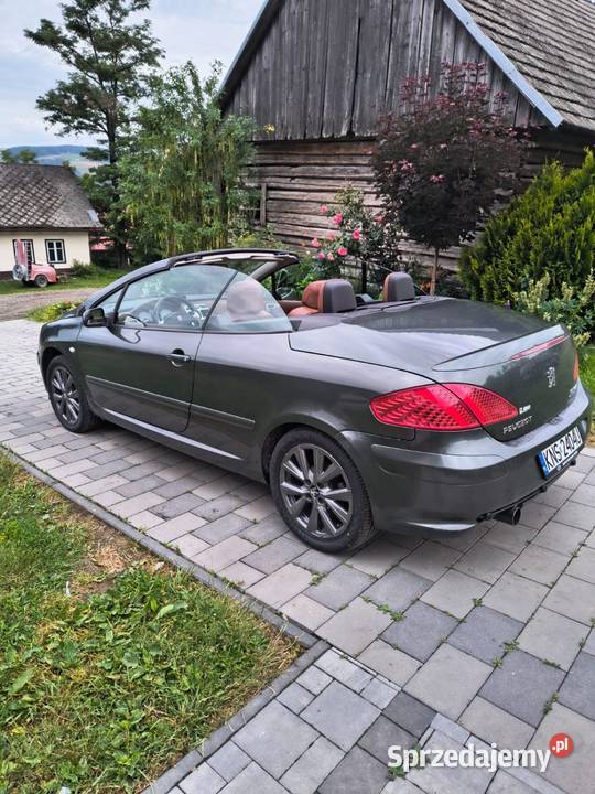 Peugeot 307 cc elektryczne lusterka Łososina Dolna