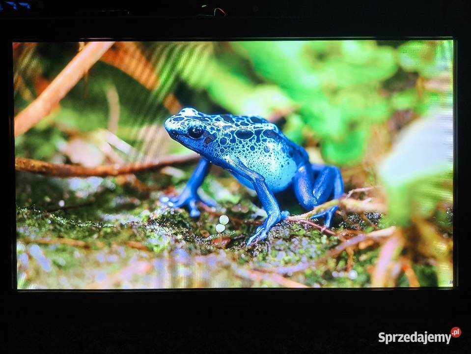Telewizor Samsung 50 OKAZJA Opatówek