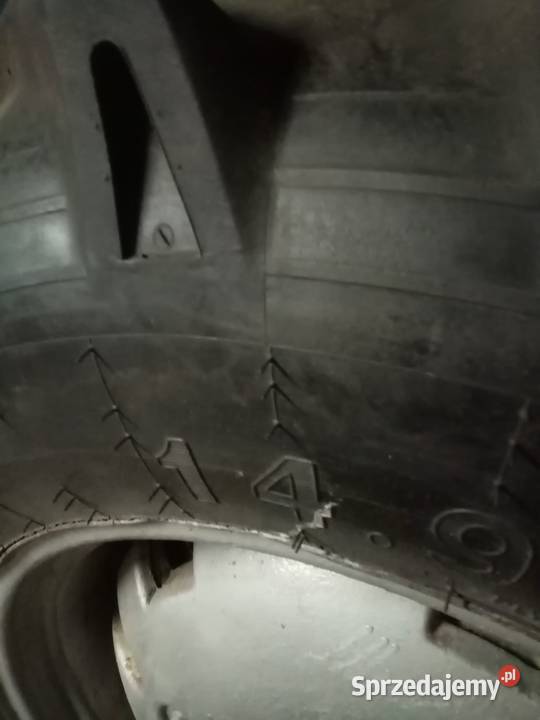 Koła 149 28 TRAYAL BEST DO C360 99BIEŻNIKA Golub-Dobrzyń sprzedam