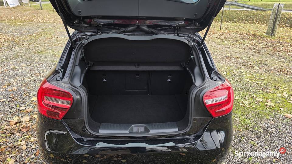 A180 Bezwypadkowy Serwisowany w ASO 8 x Alu ESP Klasa A Jastrzębie-Zdrój