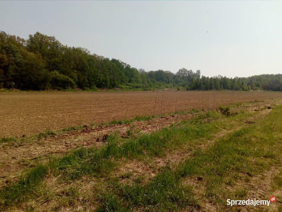 Działka budowlana 1200 m2 Morzęcin Mały droga