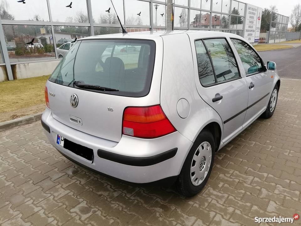 Volkswagen Golf 1.6 Benzyna! Wspomagania! 5 Drzwi! Zadbany