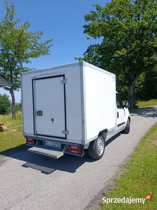 Wynajem Auto Chłodni Chłodnia na Wynajem Wynajem Laskowa