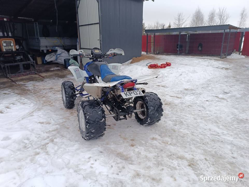 Quad Bashan 250 kupiony w Polsce Niedarczów Dolny-Wieś