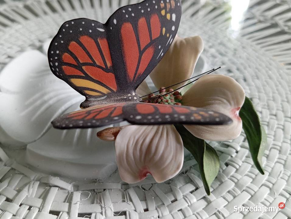 Porcelanowy motyl Franklin Zielona Góra